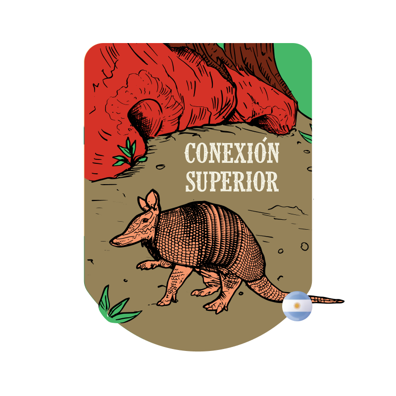 Conexión Superior - Malta Alto Fan