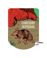 Conexión Superior - Malta Alto Fan