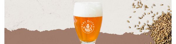American Amber Ale