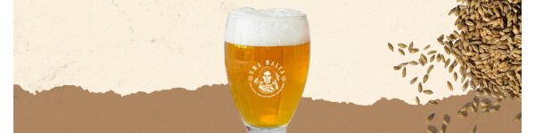 American IPA