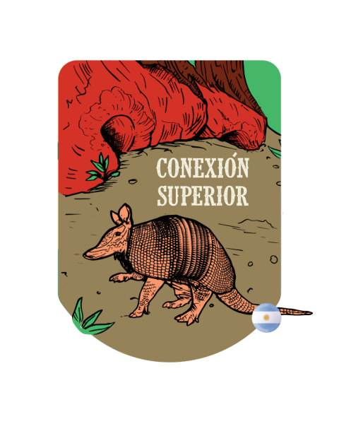 Conexión Superior - Malta Alto Fan