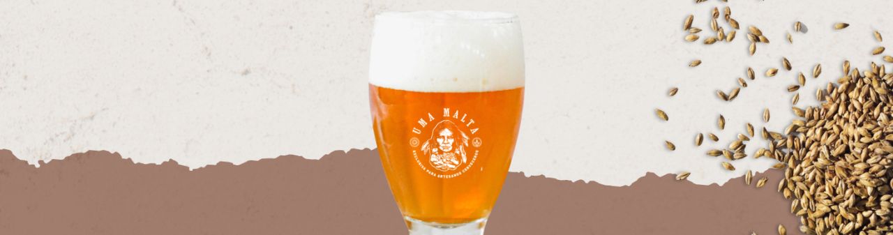 American Amber Ale