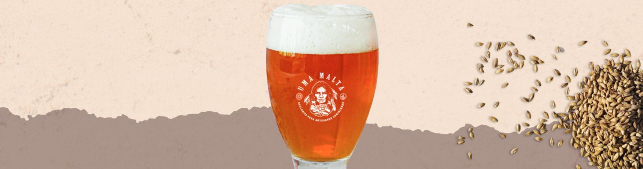 IPA Argenta
