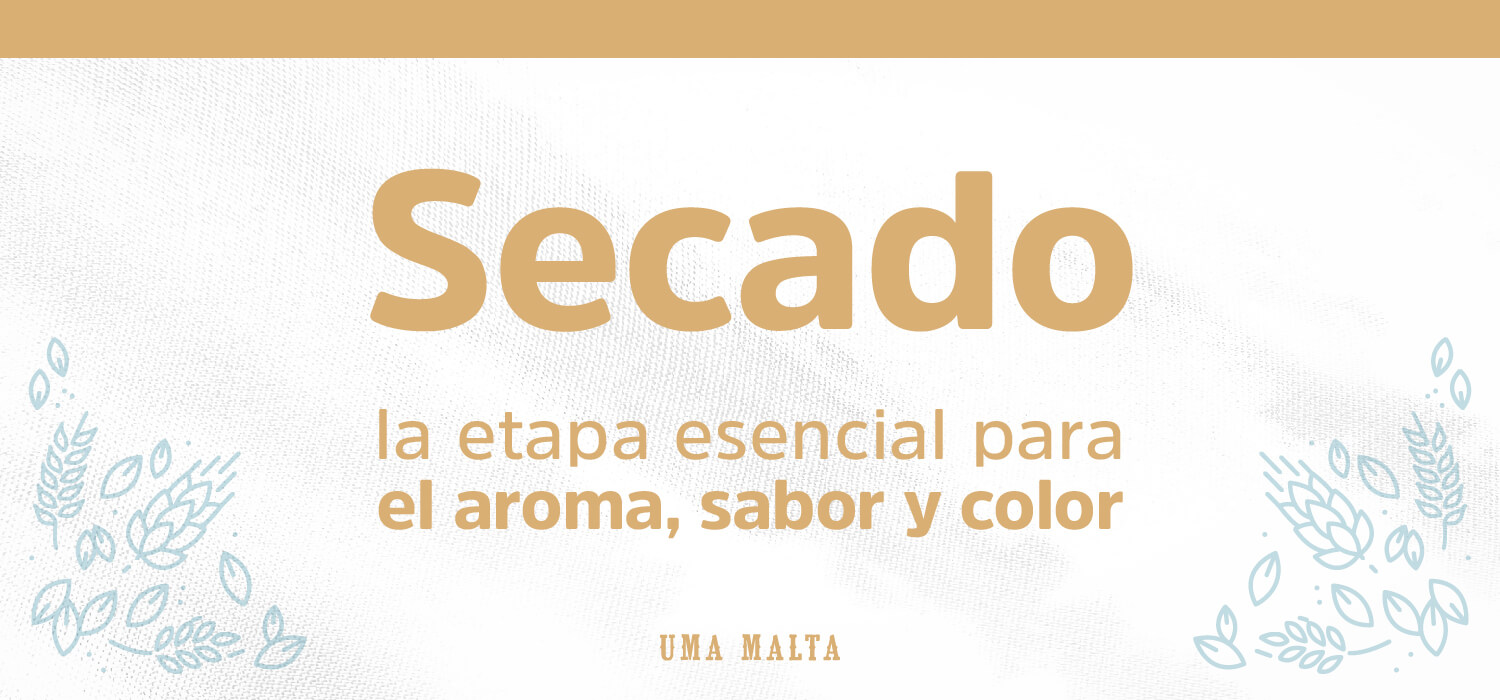 Secado, la etapa esencial para el aroma, sabor y color