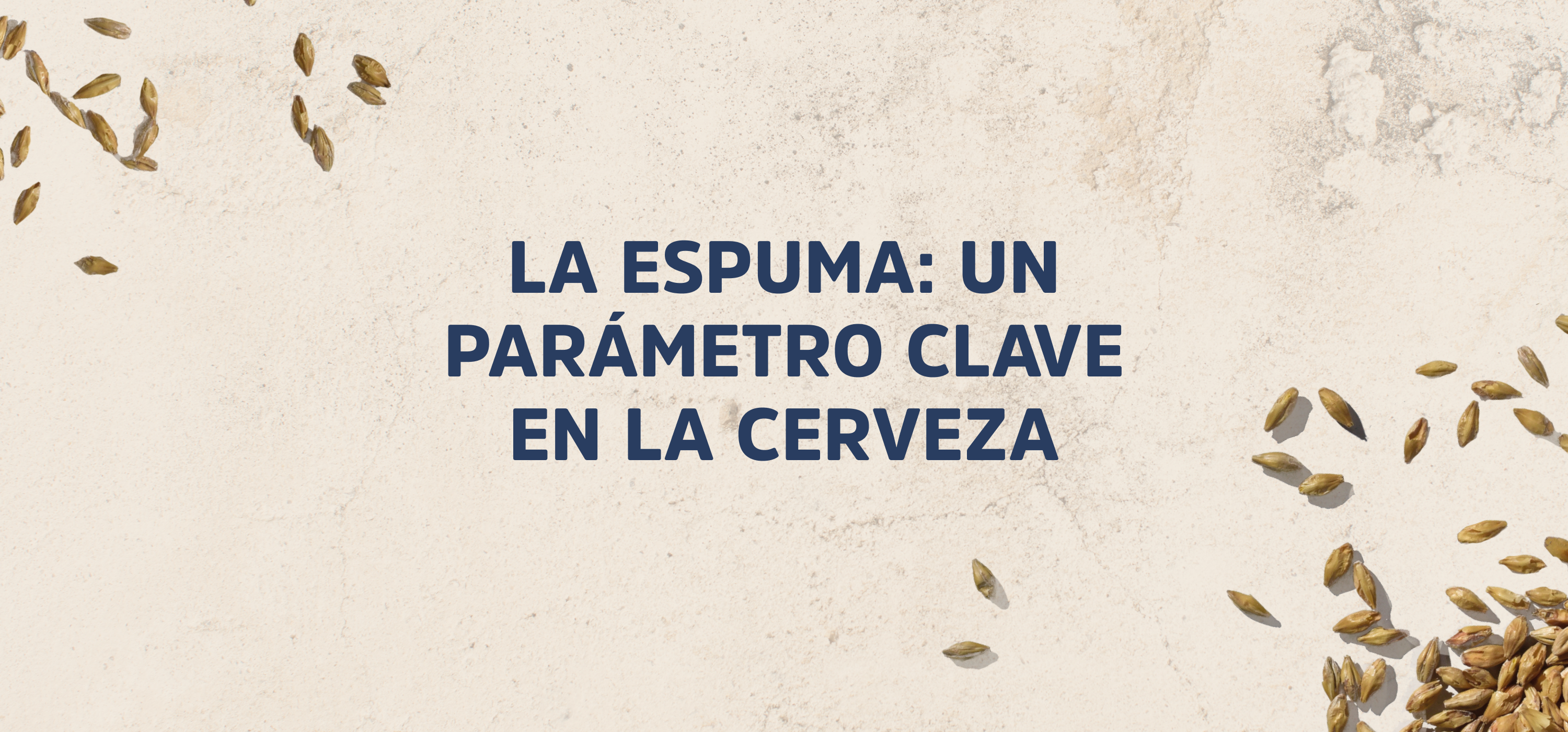 La espuma: un parámetro clave en la cerveza