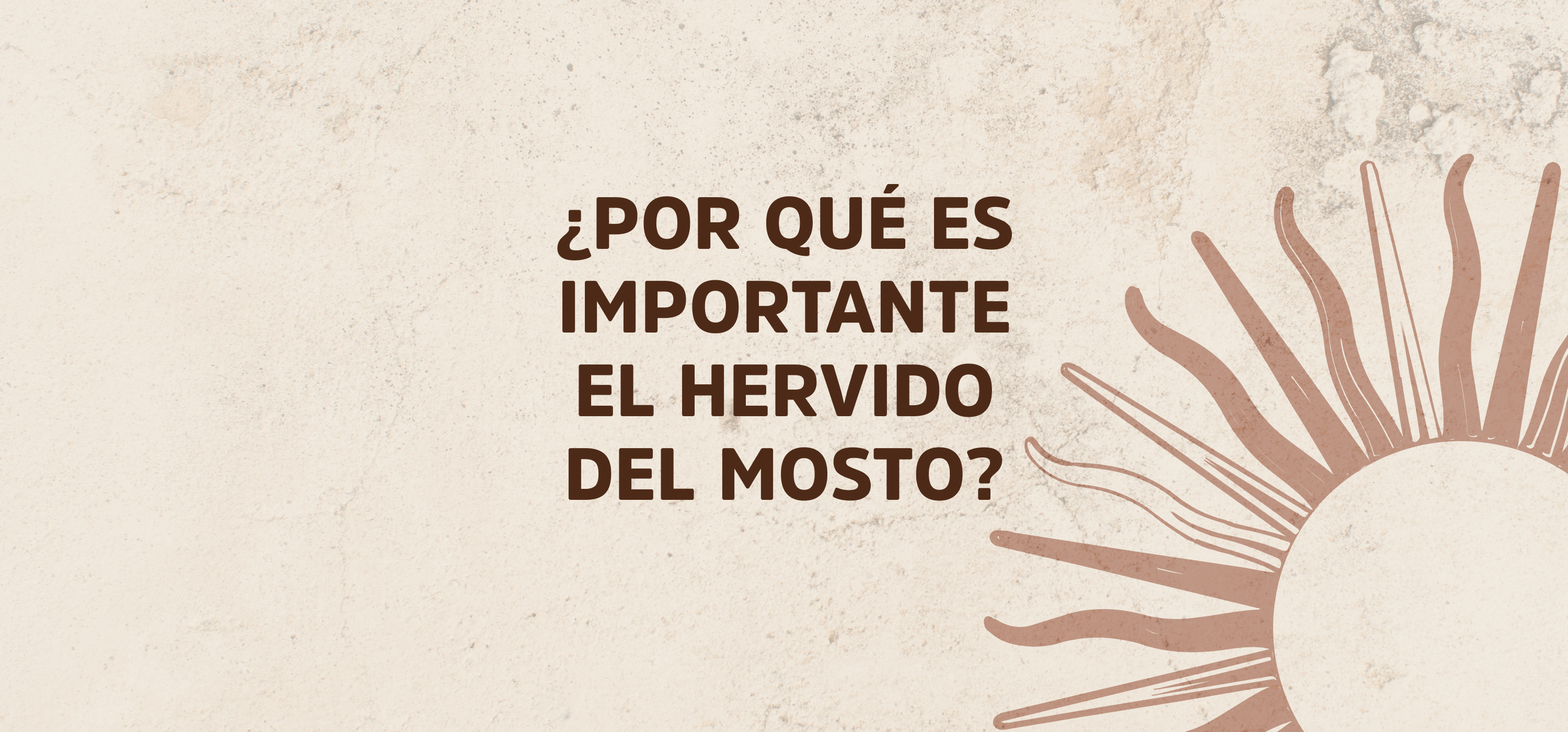 Importancia del hervido del mosto y parámetros claves