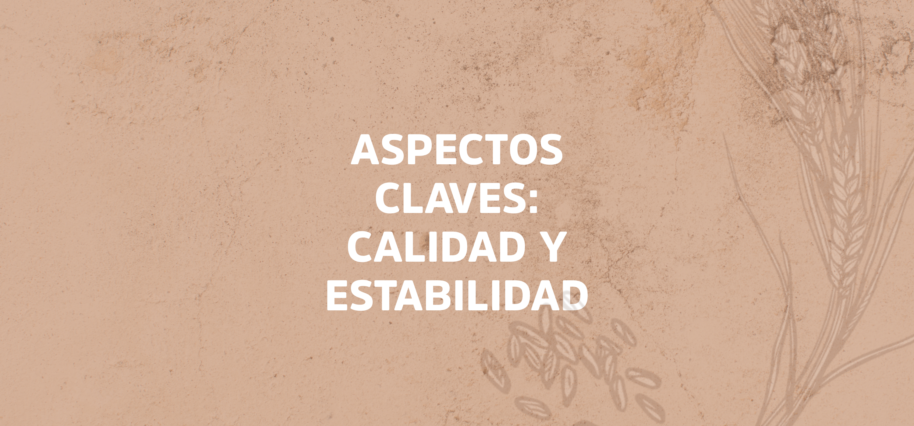 Cierre de Año - Compromiso con la Calidad, la Estabilidad y la promesa de sabor.