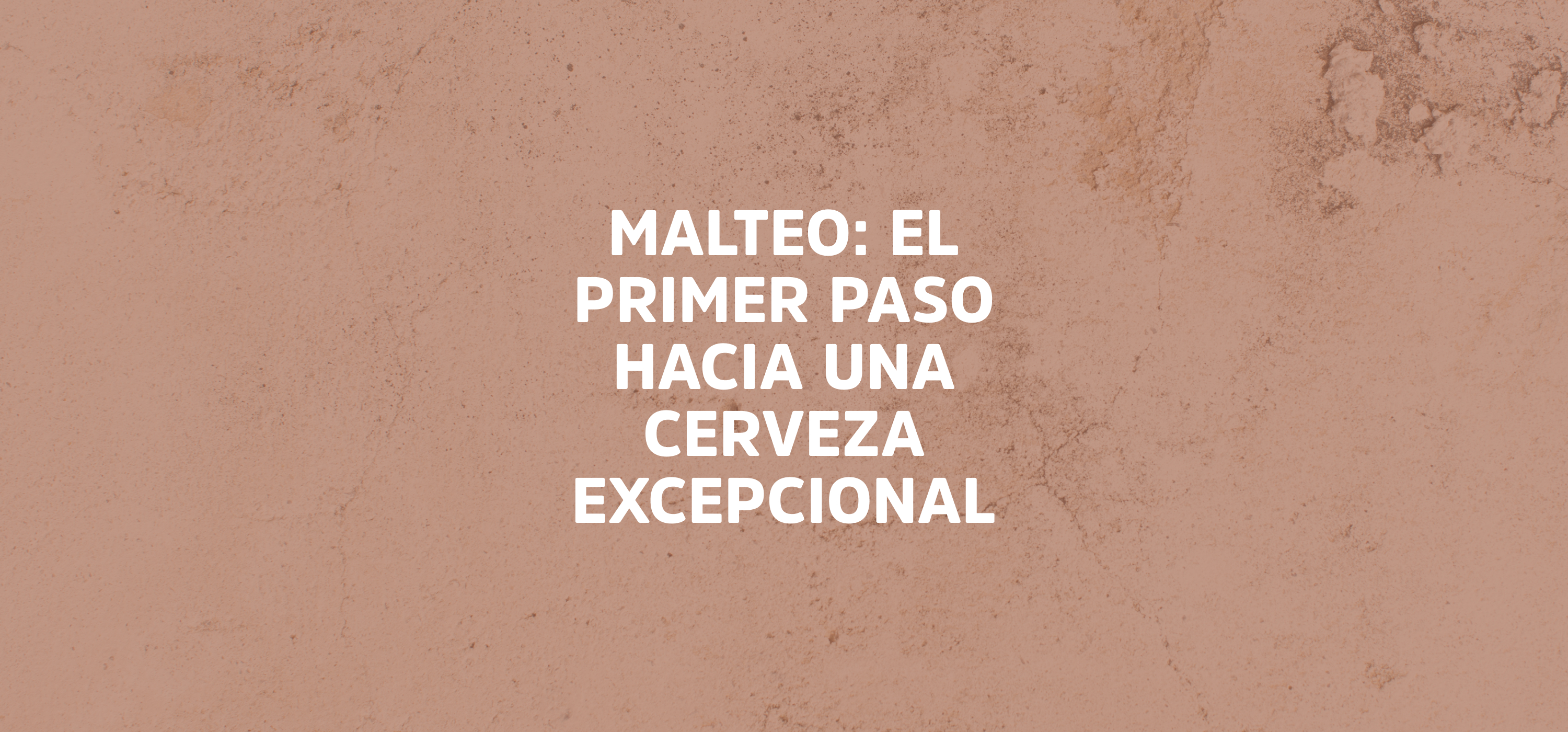 El primer paso hacia una cerveza excepcional