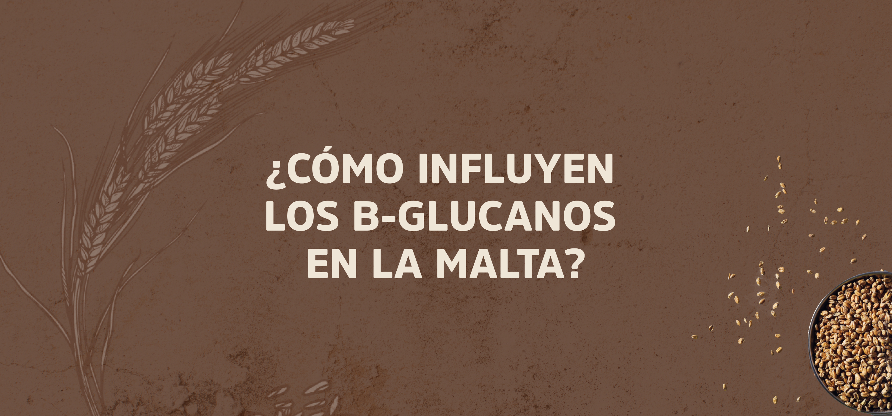 ¿Cómo influyen los B-Glucanos en la malta?