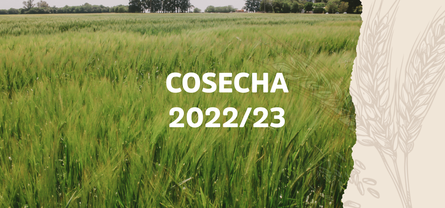 Reporte Cosecha de Cebada 2023