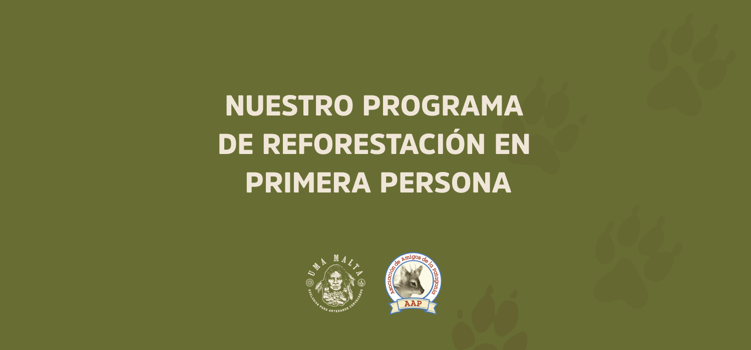 Nuestro Programa de Reforestación en primera persona: Sebastián de Amigos de Patagonia nos cuenta más sobre este compromiso ambiental