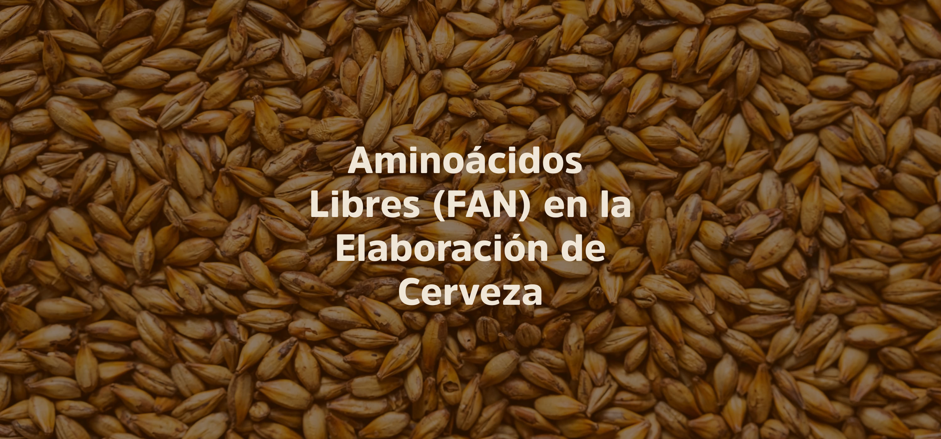  Aminoácidos Libres-FAN: ¿Qué son y por qué son importantes en la elaboración de cerveza?
