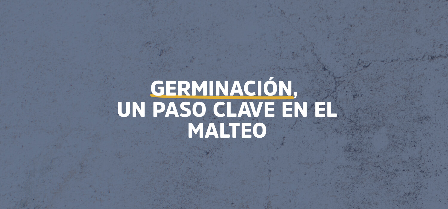 Germinación, un paso clave en el malteo