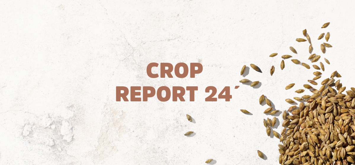 Reporte Cosecha de Cebada 23/24
