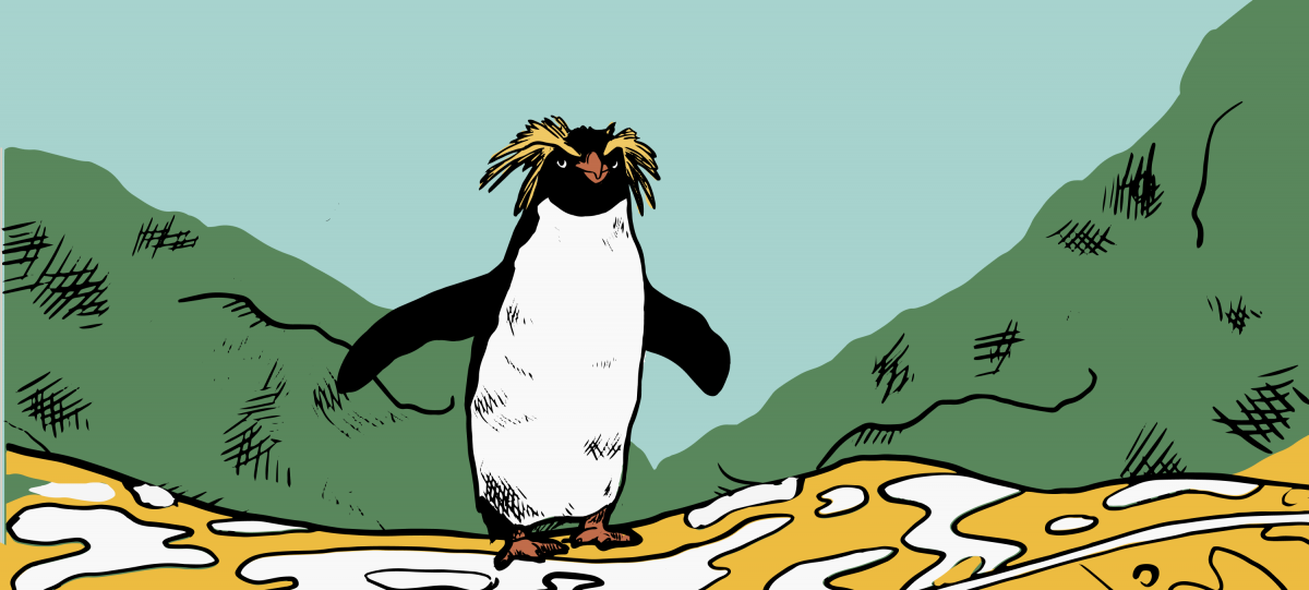  La historia detrás del Pingüino Penacho Austral: ¿por qué fue el animal elegido para representar nuestra malta de Trigo “Frescura Blanca”?