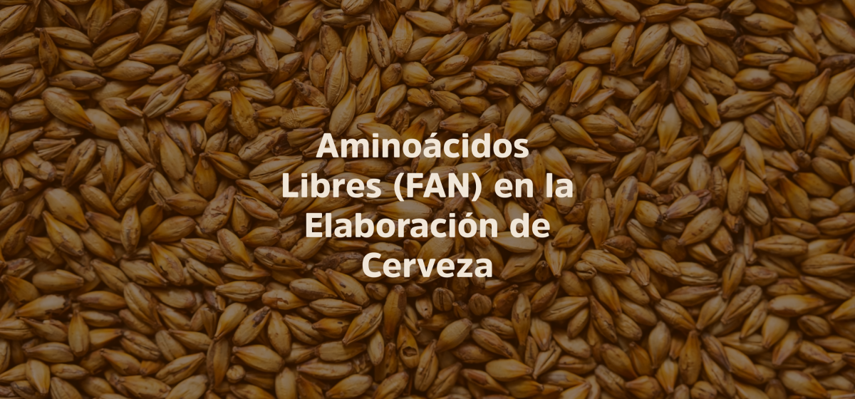  Aminoácidos Libres-FAN: ¿Qué son y por qué son importantes en la elaboración de cerveza?
