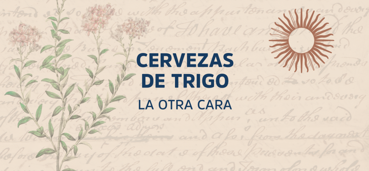 Cervezas de trigo: la historia del Witbier 