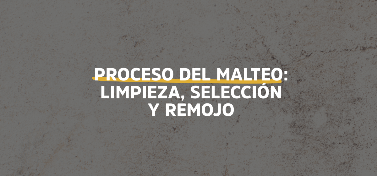 Los pasos del malteo