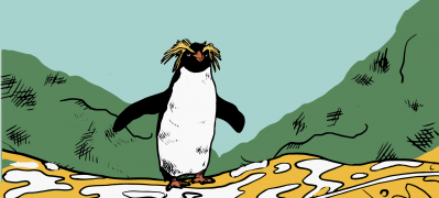  La historia detrás del Pingüino Penacho Austral: ¿por qué fue el animal elegido para representar nuestra malta de Trigo “Frescura Blanca”?