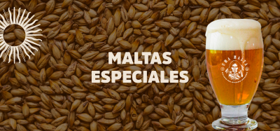 Maltas Especiales: para una cerveza increíble, los mejores ingredientes